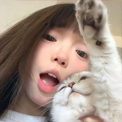 猫2020